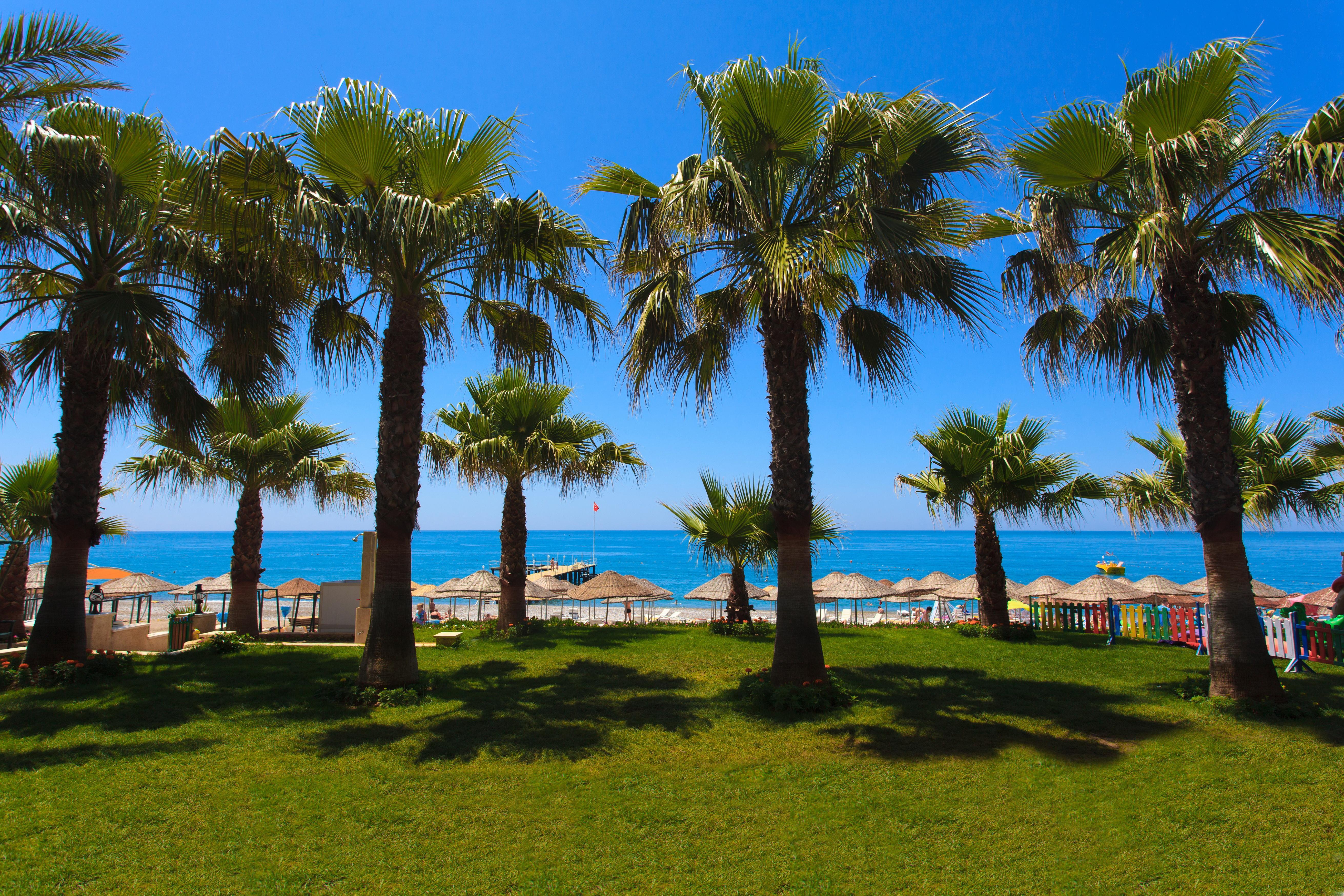 Galeri Resort Hotel Okurcalar Extérieur photo